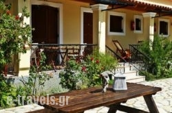 Theocharis Apartments in Aghios Stefanos, Corfu, Ionian Islands