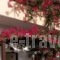 Ostria Rooms_accommodation_in_Room_Crete_Chania_Palaeochora
