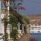 Hotel Grivas_lowest prices_in_Hotel_Cyclades Islands_Paros_Paros Chora