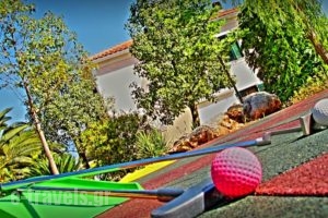 Acroploro_best prices_in_Hotel_Central Greece_Fokida_Galaxidi