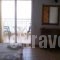 Tilemaxos & Anneta_holidays_in_Hotel_Macedonia_Halkidiki_Kassandreia