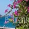 Faros Rooms_holidays_in_Room_Dodekanessos Islands_Tilos_Livadia