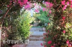 Aloe & Lotus Villas_s __1