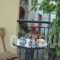 Summer Knights_accommodation_in_Hotel_Dodekanessos Islands_Rhodes_Rhodesora