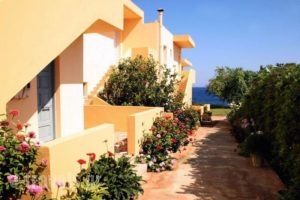 Nautilus Apartments_best deals_Apartment_Crete_Lasithi_Neapoli