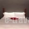 Piteoussa Guesthouse_lowest prices_in_Hotel_Piraeus Islands - Trizonia_Hydra_Hydra Chora
