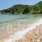 Pension'Sotiria_best prices_in_Hotel_Aegean Islands_Thasos_Thasos Chora