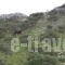 Hotel Les Amis_best prices_in_Hotel_Central Greece_Attica_Amarousio (Marousi)