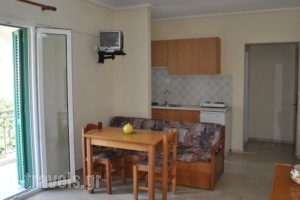 Ionian Paradise_holidays_in_Hotel_Ionian Islands_Lefkada_Lefkada's t Areas