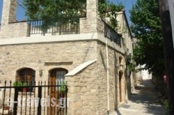 Villa Eleva_s __1