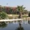 Asterias Studios & Apartments_best deals_Apartment_Crete_Chania_Akrotiri