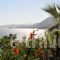 Sunrise Rooms_best deals_Room_Crete_Rethymnon_Mylopotamos