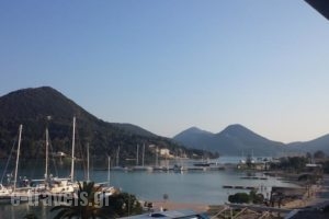 Babis Apartments_best deals_Apartment_Ionian Islands_Lefkada_Lefkada's t Areas