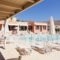 Studio Olive Lemon-Morfi Village_holidays_in_Hotel_Crete_Chania_Akrotiri