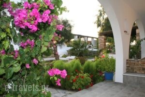 Skarmoutsos Studios_holidays_in_Hotel_Cyclades Islands_Ios_Ios Chora