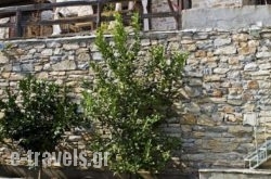 Villa Amanti_s __1