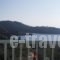 Regina Studios_accommodation_in_Hotel_Sporades Islands_Skopelos_Panormos