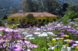 Countryside Studios in Kefalonia Rest Areas, Kefalonia, Ionian Islands