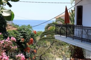 Pension Aldebaran_accommodation_in_Hotel_Aegean Islands_Thassos_Potos