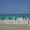 Gold Apartments_best prices_in_Apartment_Crete_Rethymnon_Rethymnon City