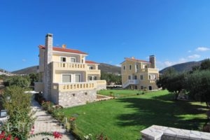 Elaia Villas_accommodation_in_Villa_Aegean Islands_Samos_Pythagorio