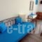 Captain John's Bungalows_best prices_in_Hotel_Cyclades Islands_Paros_Naousa