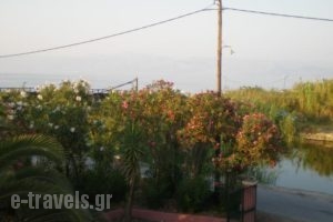 Marie_best prices_in_Hotel_Ionian Islands_Corfu_Afionas