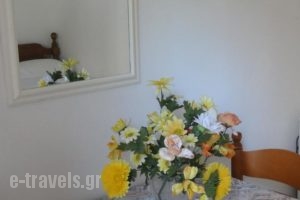 Eleni's Rooms_lowest prices_in_Room_Central Greece_Evia_Edipsos