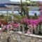 Studios Antiparos Beach_travel_packages_in_Cyclades Islands_Antiparos_Antiparos Rest Areas