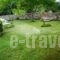 Villa Grecia_travel_packages_in_Ionian Islands_Corfu_Afionas