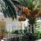 Anthi Studios_accommodation_in_Hotel_Ionian Islands_Zakinthos_Zakinthos Rest Areas