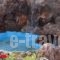 Leros Princess_holidays_in_Hotel_Dodekanessos Islands_Leros_Leros Rest Areas