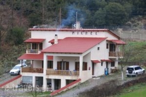 Michel Studios_accommodation_in_Hotel_Peloponesse_Achaia_Kalavryta