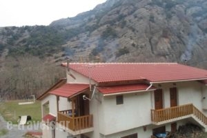 Michel Studios_lowest prices_in_Hotel_Peloponesse_Achaia_Kalavryta