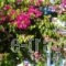 Pension George_holidays_in_Hotel_Cyclades Islands_Sandorini_Sandorini Chora