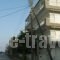 Villa Sokratis_best deals_Villa_Macedonia_Pieria_Olympiaki Akti