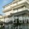 Villa Sokratis_travel_packages_in_Macedonia_Pieria_Olympiaki Akti