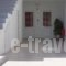 Georgias Rooms_holidays_in_Room_Dodekanessos Islands_Tilos_Tilos Chora
