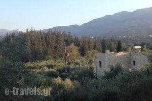 Zonera Villas_best deals_Villa_Crete_Chania_Vryses Apokoronas