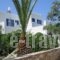Popis Apartments_holidays_in_Apartment_Cyclades Islands_Paros_Paros Chora