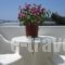 Popis Apartments_travel_packages_in_Cyclades Islands_Paros_Paros Chora