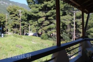 Studio Anna_holidays_in_Hotel_Sporades Islands_Skopelos_Neo Klima - Elios