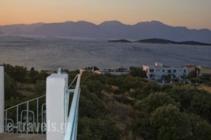 Creta Star_holidays_in_Hotel_Crete_Lasithi_Aghios Nikolaos