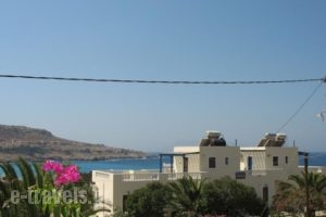 Lefkosia Studios_best prices_in_Hotel_Dodekanessos Islands_Karpathos_Karpathosora