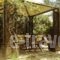 The Garden House_holidays_in_Hotel_Thessaly_Magnesia_Almiros