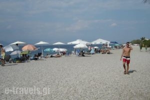 Stavento_best deals_Hotel_Peloponesse_Achaia_Trapeza