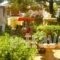 Kuris Apartments_accommodation_in_Apartment_Ionian Islands_Zakinthos_Zakinthos Chora