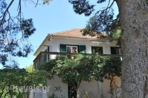 Villa eleni_accommodation_in_Villa_Ionian Islands_Kefalonia_Argostoli