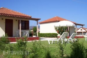 Beach Bungalows_accommodation_in_Hotel_Ionian Islands_Zakinthos_Alykes