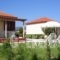 Beach Bungalows_accommodation_in_Hotel_Ionian Islands_Zakinthos_Alykes